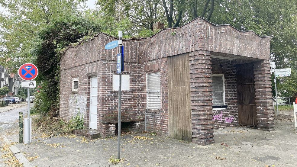 Freigelegt: Der Efeu am Wall-Kiosk wurde entfernt, links fehlen jetzt zwei Bäume. Foto: Schuurman