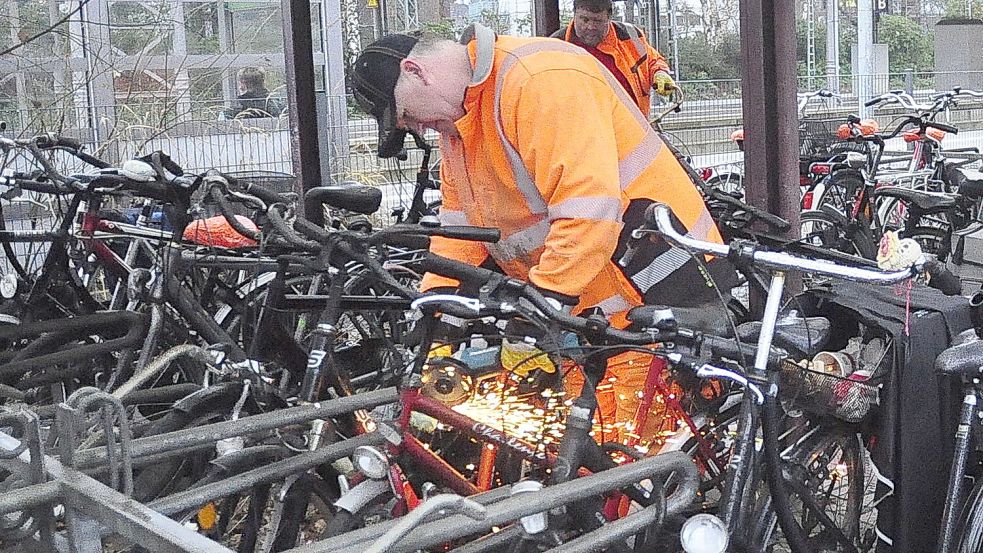 Teilweise mit Flex wurden die Schlösser der herrenlosen Räder aufgesägt. Foto: Wolters