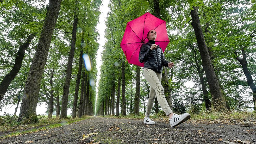 Seit Juli 2023 war ein Regenschirm ein nützlicher Begleiter. Foto: Ortgies / Archiv