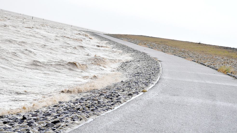 Sturm am Deich: Während der Sturmflut wurde jede Menge Teek angespült. Foto: Wagenaar