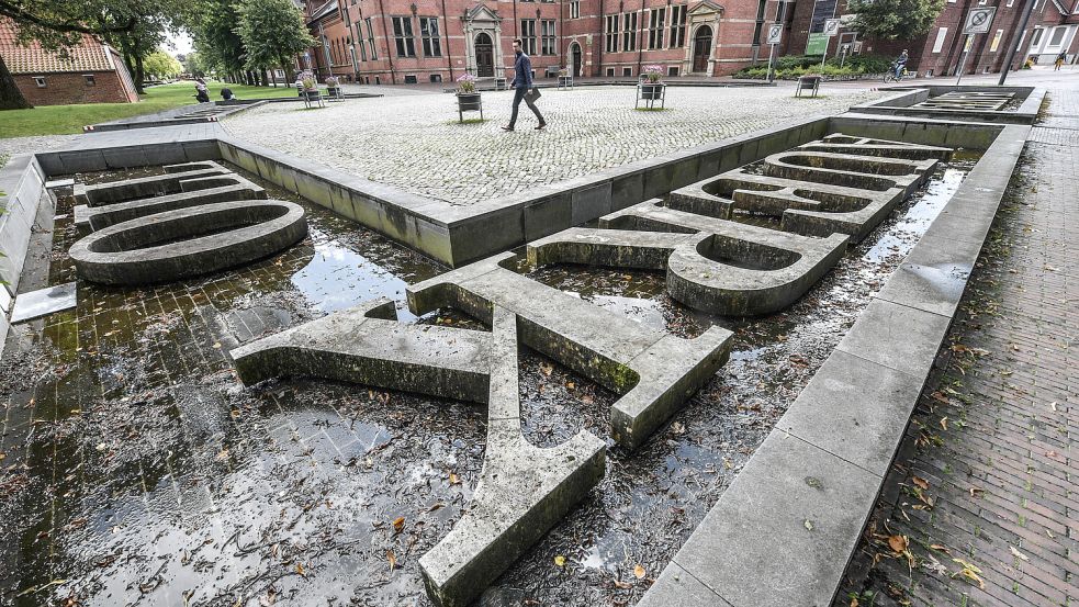 Das Hafenbecken sieht nach jahrelangem Leerstand nicht mehr sehr einladend aus.