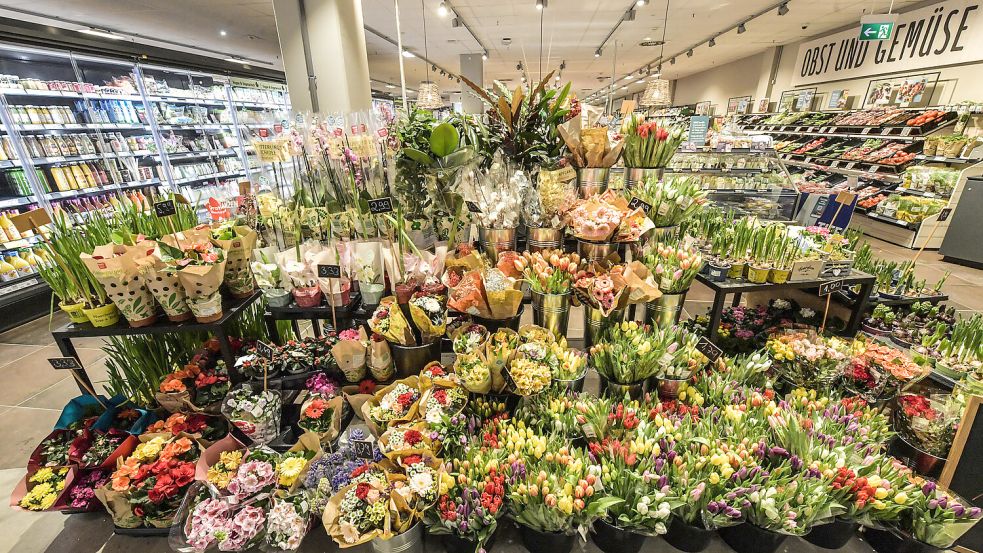 Im Auricher Rewe-Markt am Fischteichweg sieht man vor lauter Blumen die Waren fast nicht. Fotos: Ortgies