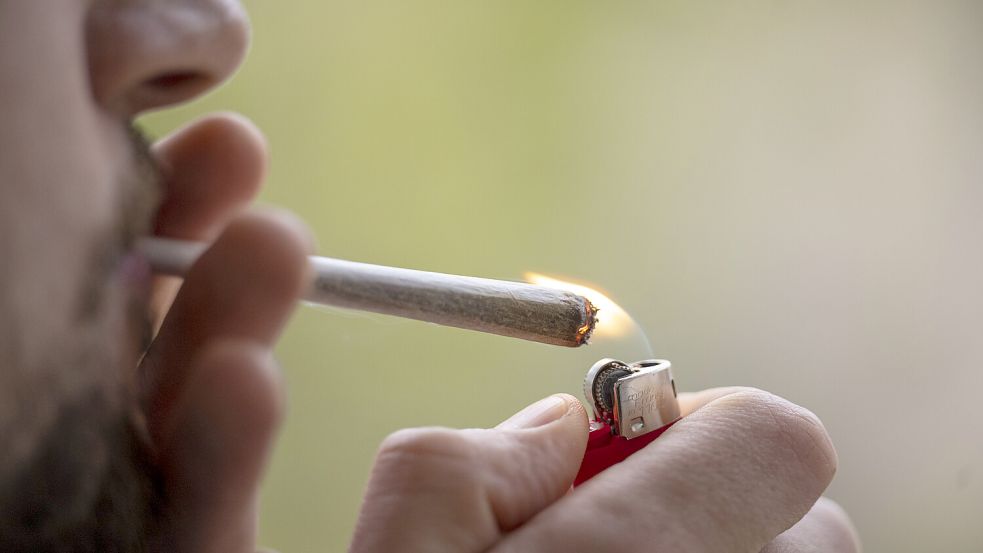 Die geplante Cannabis-Legalisierung stößt beim Kinderschutzbund in Niedersachsen auf Kritik. Foto: Hannes P. Albert/dpa