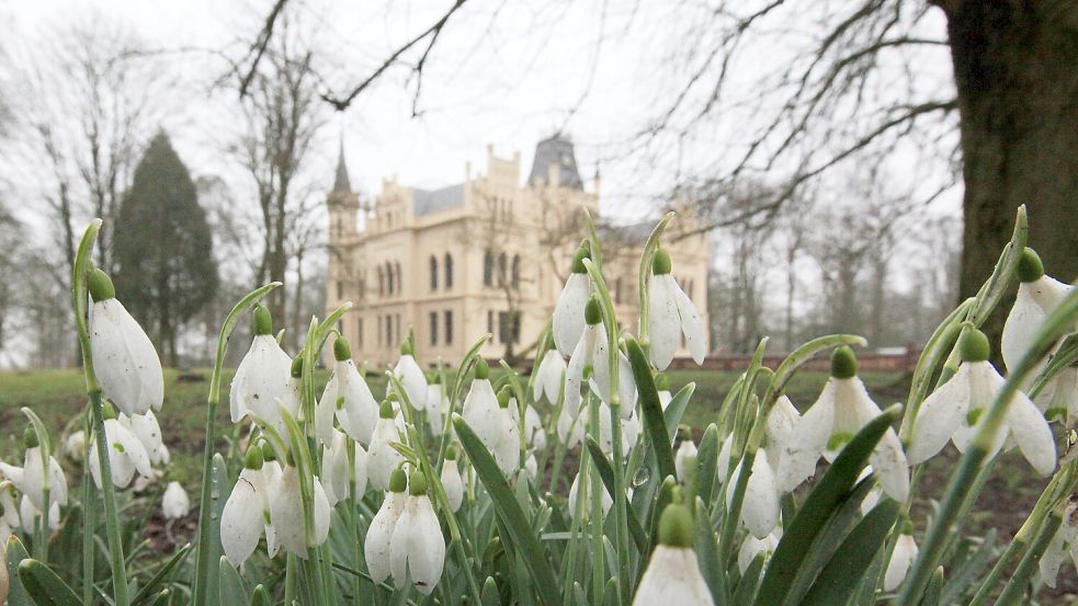 Ein Spaziergang zu zweit - eine romantische Idee für den Valentinstag. Der Park der Evenburg lädt dazu ein. Sind dort schon Schneeglöckchen zu sehen? Foto: Ortgies/Archiv