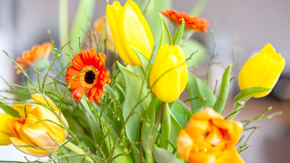 Es müssen nicht immer Rosen sein - auch ein bunter Frühlingsstrauß kann das Herz erwärmen. Foto: Gutierrez-Juarez/DPA/Archiv