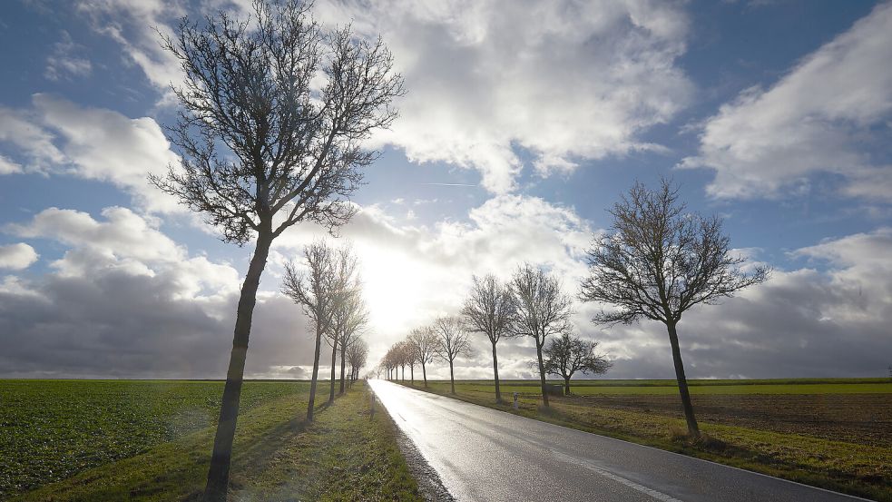 Bewölkt, aber immer wieder sonnig und warm - die Wetteraussichten für die kommenden Tage. Foto: dpa/Thomas Frey