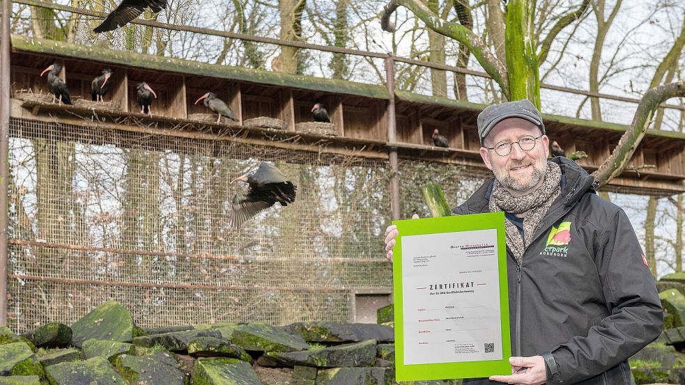 Dr. Dirk Wewers, Kurator des Tierparks Nordhorn, zeigt in der Waldrapp-Anlage die Bestätigung des Labors: Per DNA-Analyse wurde festgestellt, dass Bruchpilot „Horst“ tatsächlich männlich ist. Foto: Franz Frieling