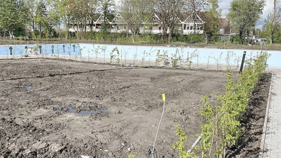 Um die Schwimmbecken im Freibad Borssum ist noch etwas kosmetische Restarbeit nötig. Rollrasen soll kommen. Foto: Förderverein Borssum