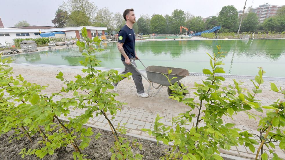 Michael Schneider hat gemeinsam mit anderen Stadtwerke-Auszubildenden Muttererde zu den Beeten transportiert. Foto: Ortgies