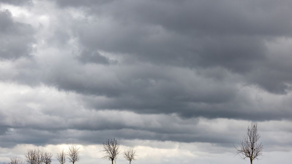 In Niedersachsen droht am Wochenende ein Wetterumschwung. Foto: dpa/Michael Reichel