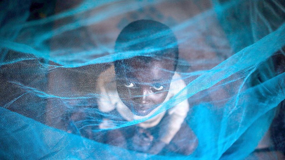 Ein Flüchtlingskind aus Burundi sitzt in Gashora, Ruanda, unter einem Moskitonetz: Der Malaria-Erreger wird durch Anopheles-Stechmücken übertragen. Foto: Dai Kurokawa/EPA/dpa