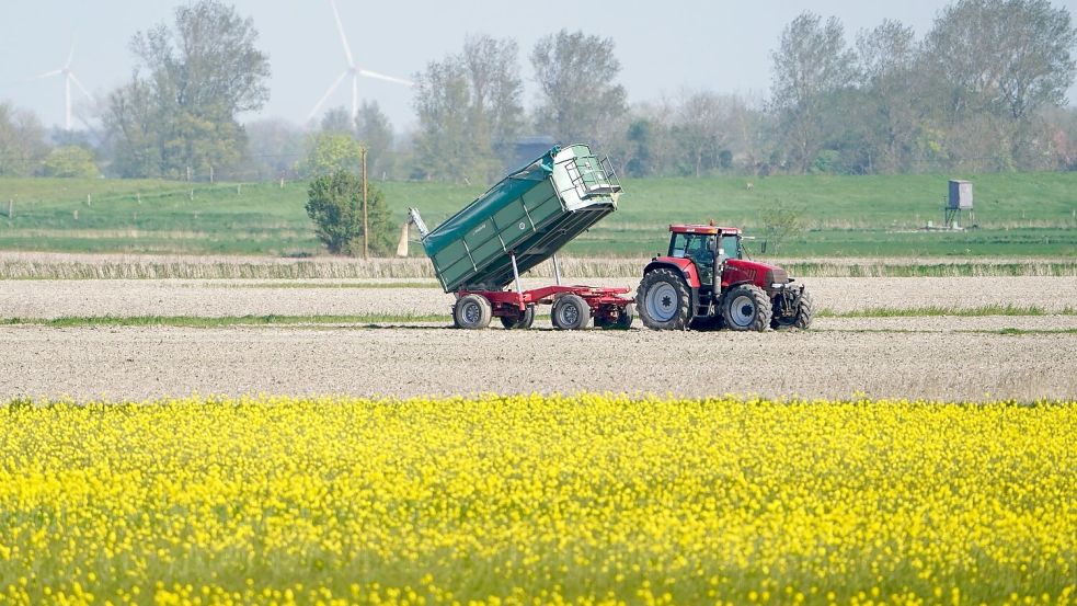 Die Umweltauflagen für Landwirte sollen auf EU-Ebene gelockert werden - das ist nicht unumstritten. Foto: Marcus Brandt/dpa