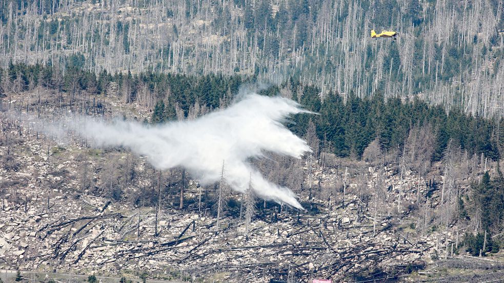 Am 1. Mai gab es einen Waldbrand im Harz. Foto: picture alliance/dpa | Matthias Bein