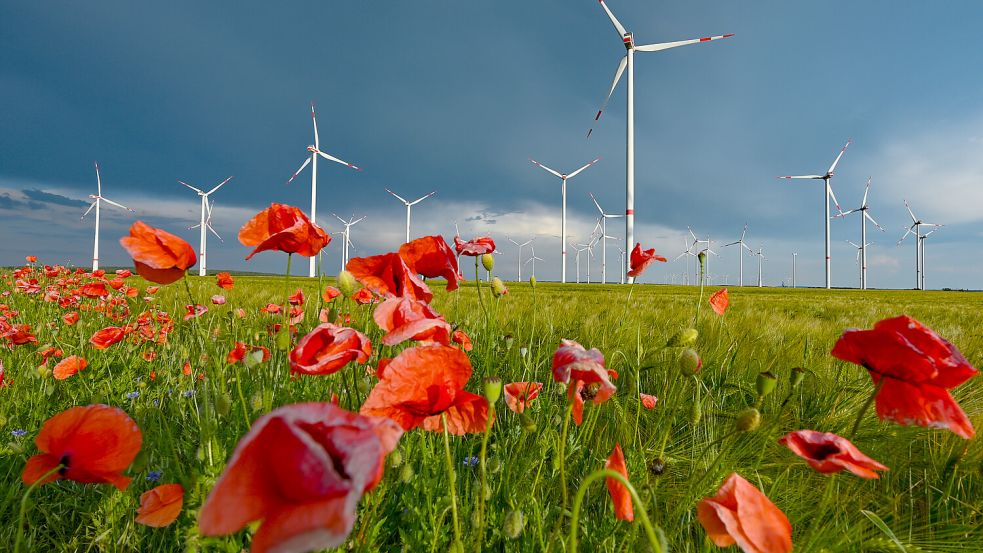 Dunkle Regenwolken werden im Laufe des Tages über Niedersachsen ziehen. Foto: dpa/Patrick Pleul