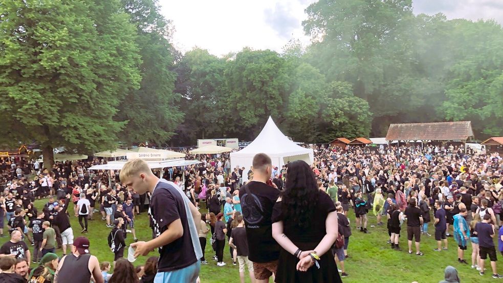 Auf dem Festivalgelände sollen weitere Angebote hinzukommen. Foto: Vogt