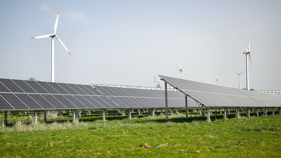 So könnte der Solarpark in der Krummhörn einmal aussehen. Foto: Jan Woitas/dpa