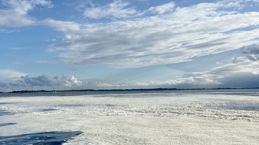 Dass die Nordsee von einem Schaumteppich bedeckt ist, ist nicht ungewöhnlich: Er besteht aus den Hüllen abgestorbener Algen und riecht muffig-fischig und schweflig. Foto: Hanz