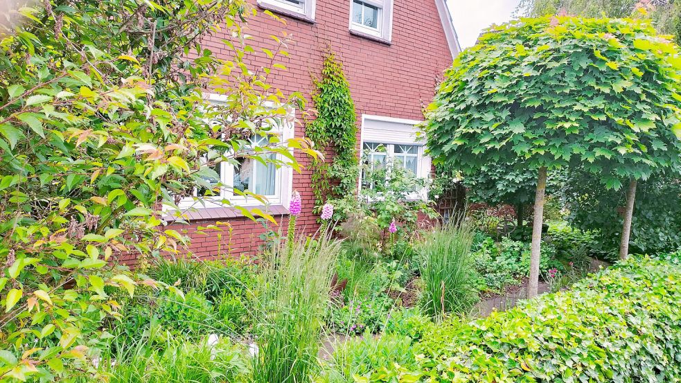 In Marion Kolthoffs Garten grünt und blüht ist. Dort finden Tiere nicht nur Nahrung, sondern auch Unterschlupf. Foto: privat