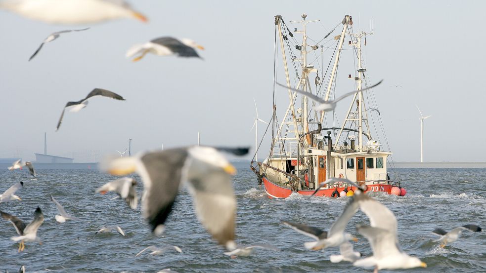 Die Krabbenfischer blicken besorgt auf die vielen Vorschriften der EU. Foto: Archiv/dpa