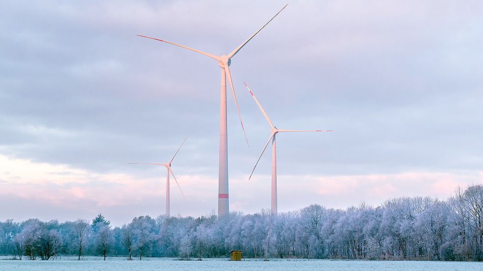 Seit Dezember 2023 sind die drei neuen Windräder im Windpark Aurich-Dietrichsfeld in Betrieb. Foto: Alterric