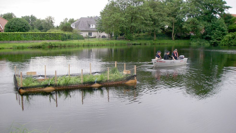 Mit einem Schleppboot wurde die bereits mit Pflanzen versehene Röhrichtinsel auf den Teich am Naturlehrpfad Heidemanns Kuhle gezogen und dort verankert. Fotos: privat