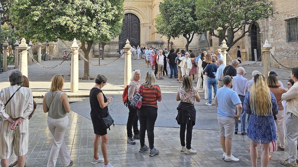 Warten auf den Einlass: Vor dem Konzert des Leeraner Kirchenmusikdirektors in der Kathedrale von Malaga standen rund 800 Menschen Schlange. Fotos: privat