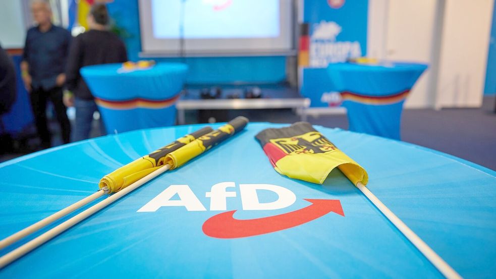 Die AfD hat zwei weitere Klagen gegen die Kündigung des Mietvertrags für die Veranstaltungshalle ihres Bundesparteitages eingereicht. Foto: Jörg Carstensen/dpa