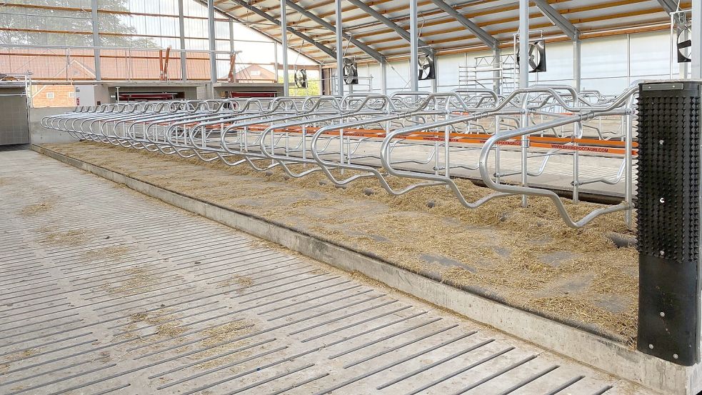 Die Spezialisten aus Nortmoor kümmern sich um die komplette Einrichtung moderner Ställe. Das Bild zeigt Liegeboxen mit Wasserbetten, rechts ist eine Kratzleiste für Kühe montiert. Foto: Kollmer