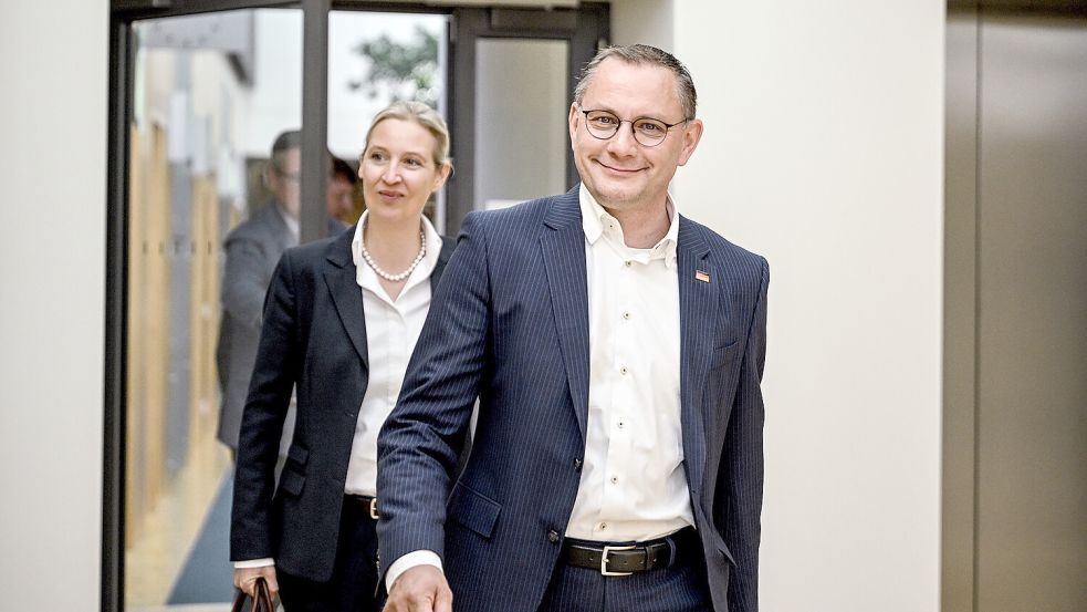 Nach der Europawahl herrscht bei den Parteivorsitzenden Alice Weidel (h.l.) und Tino Chrupalla (v.r.) erstmal gute Stimmung. Foto: dpa/Britta Pedersen