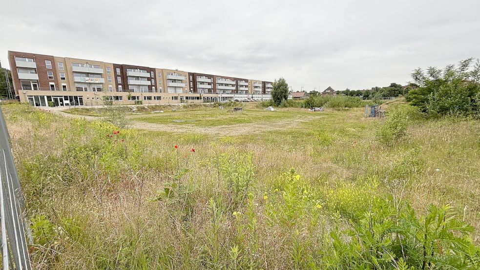 Derzeit ist hinter dem Riegelbau, der sich entlang der Großen Roßbergstraße befindet, noch eine große Brachfläche. Foto: Bothe