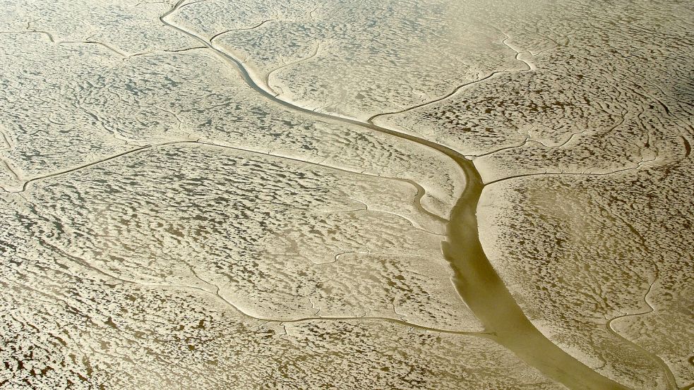 Ein Luftbild von einem Priel im Wattenmeer. Foto: Wikipedia