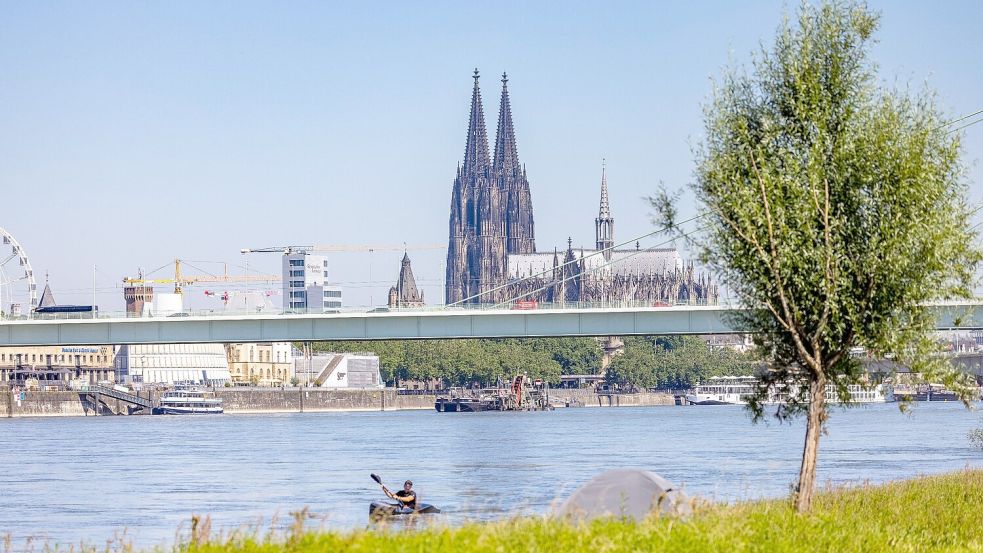 Ein Kajakfahrer rudert auf dem Rhein, im Hintergrund ist der Kölner Dom und die Severinbrücke zu sehen. Foto: Thomas Banneyer/dpa