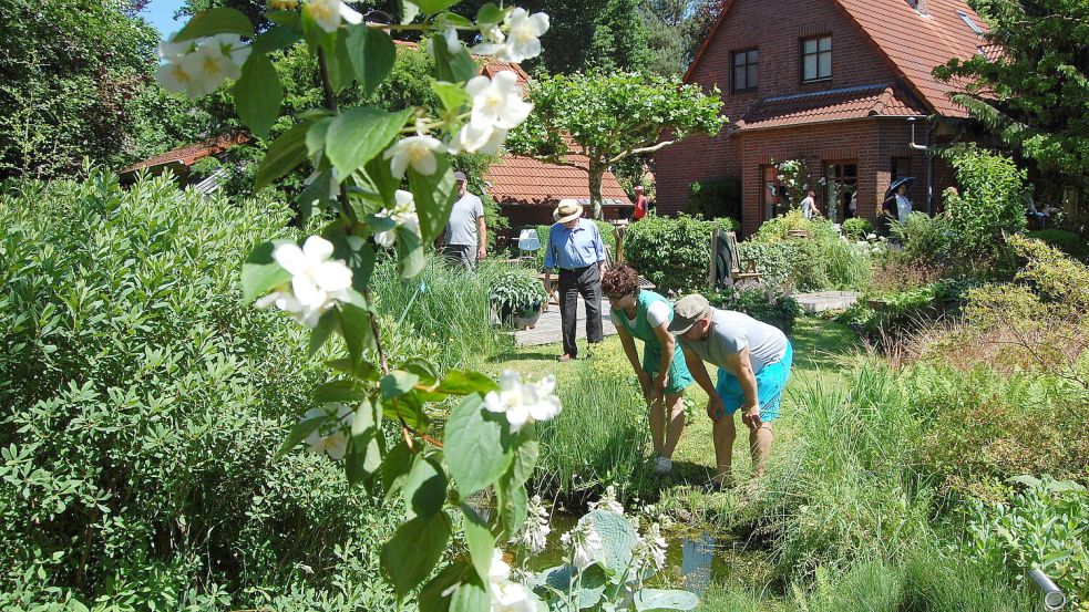 Die offenen Gärten in Backemoor ziehen immer viele Besucher an. Foto: Archiv