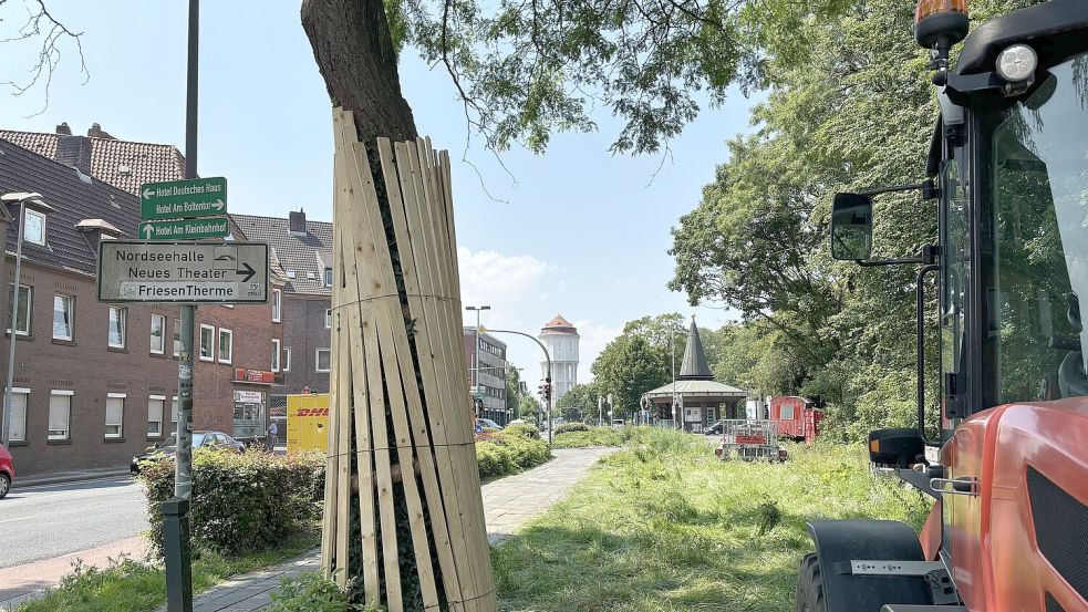 Schon mal vorsorglich schützend eingewickelt: die verbleibenden Bäume an der Kunstmeilen-Baustelle. Foto: Schuurman