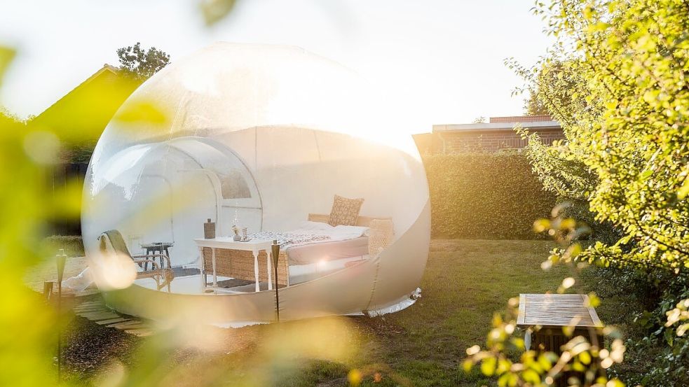 Das Bubble Tent steht in einem abgeschiedenen Garten in Hesel und bietet Nächte mit Rundumblick. Foto: Bubble Tent Deutschland