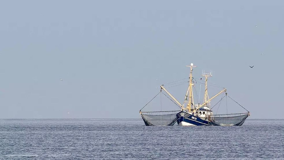 Ein Kutter fischt an der Küste Ostfrieslands. Foto: Kalle Klein