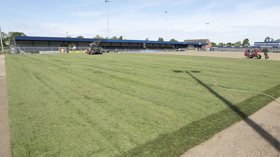 Es grünt in dieser Woche ganz beträchtlich auf dem neuen Spielfeld des BSV Kickers Emden. Foto: Doden