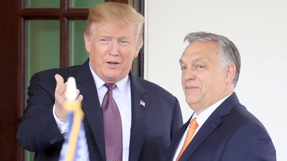 Trump gilt wie Orban als offen für Verhandlungen mit Russlands Präsident Wladimir Putin. Foto: Manuel Balce Ceneta/AP/dpa