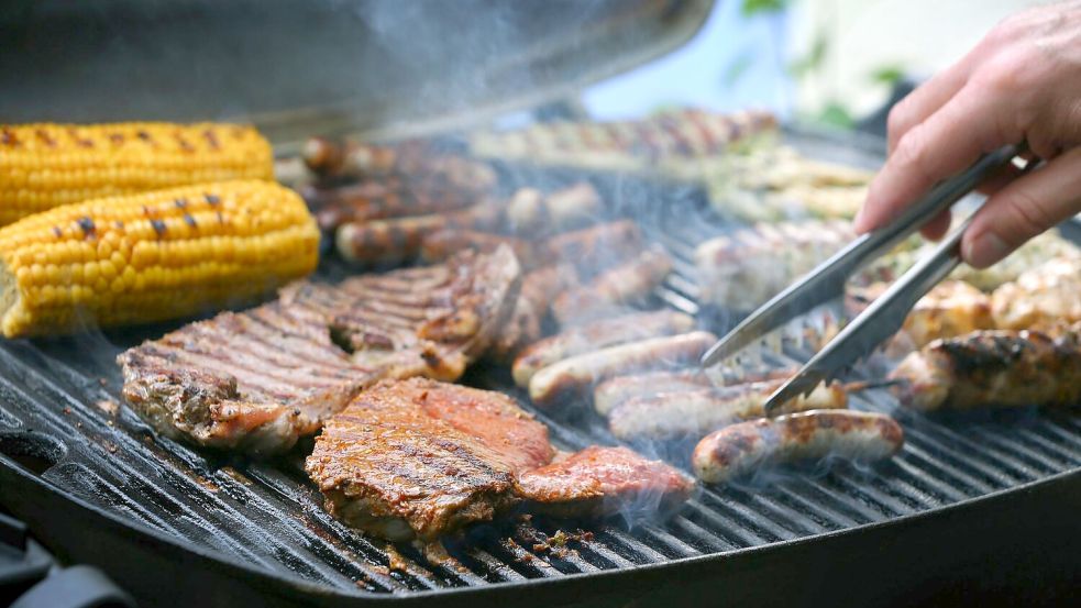 Biofleisch und pflanzliche Ersatzprodukte sind teurer als Fleisch aus konventioneller Tierhaltung (Symbolbild). Foto: Karl-Josef Hildenbrand/dpa/dpa-tmn