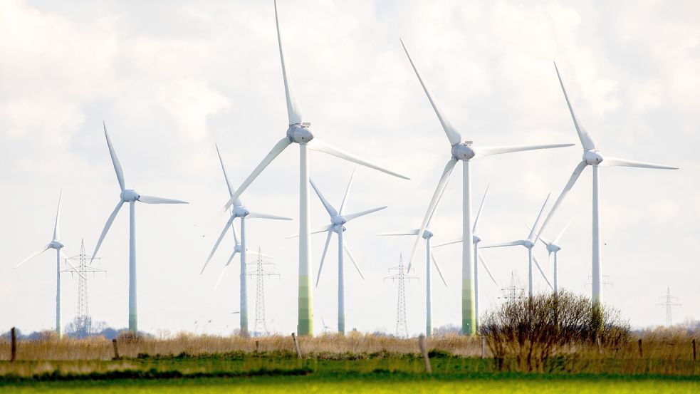 Zahlreiche Windkraftanlagen stehen auf Feldern im Landkreis Aurich. Foto: Hauke-Christian Dittrich/dpa