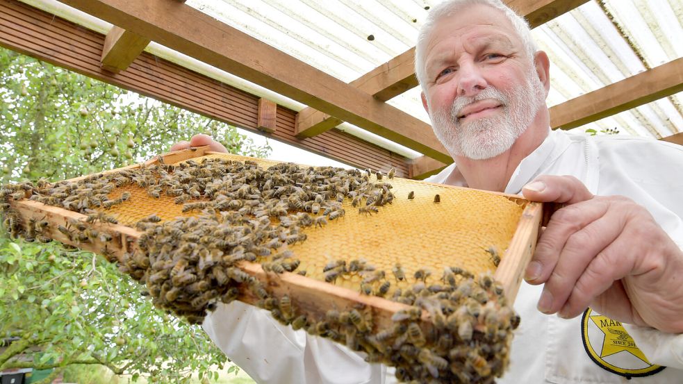 Christian Ruhr hält ein Rähmchen aus einem Bienenstock in die Kamera. Der Imker liebt sein Hobby. Foto: Ortgies