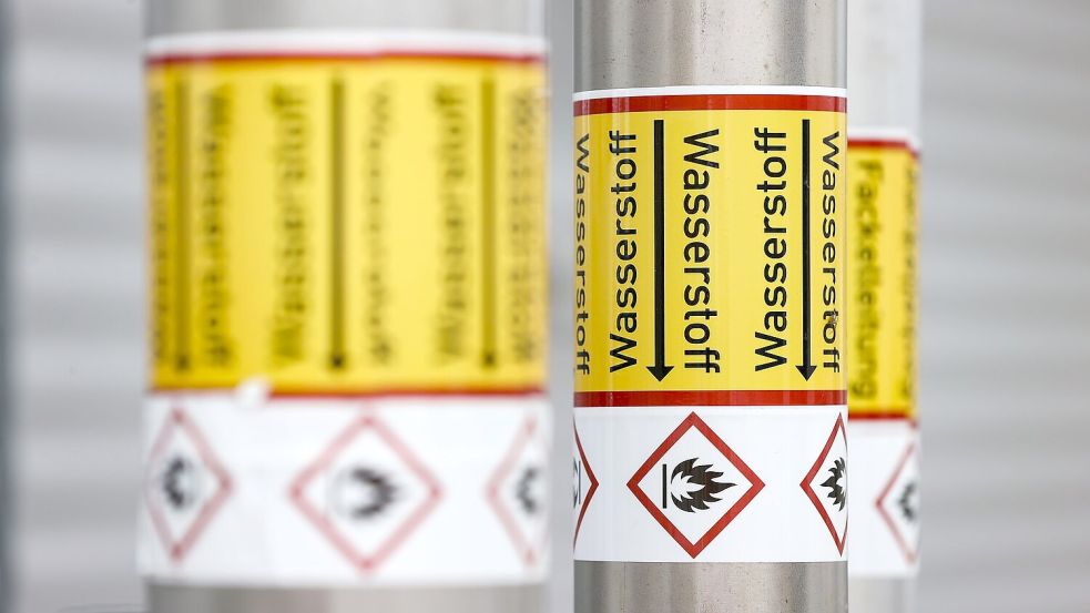 Wasserstoff ist das zentrale Zukunftsprojekt der Regierung, wenn es um saubere Energien geht. Foto: Jan Woitas/dpa