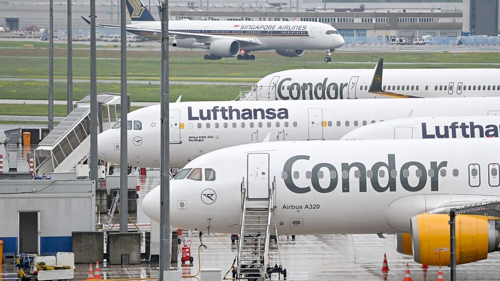 Unstimmigkeiten über Hilfen für Condor gehen in die nächste Runde. (Archivbild) Foto: Arne Dedert/dpa