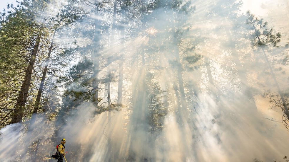 Das Park Fire hat sich zum sechstgrößten Waldbrand in der Geschichte Kaliforniens ausgewachsen. Foto: Nic Coury/AP/dpa