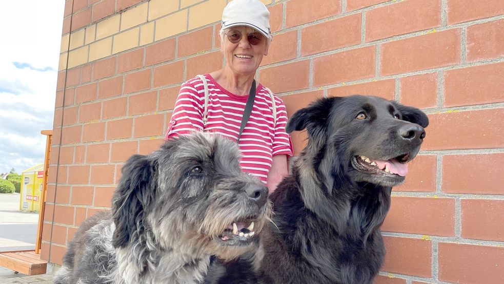 Angela Block und ihr Hunde Brina (rechts) haben derzeit einen Gast: Priskas Besitzerin ist in der Reha und hat niemanden, der die Hündin versorgen könnte. Senutie hilft in diesem Notfall. Foto: Janßen