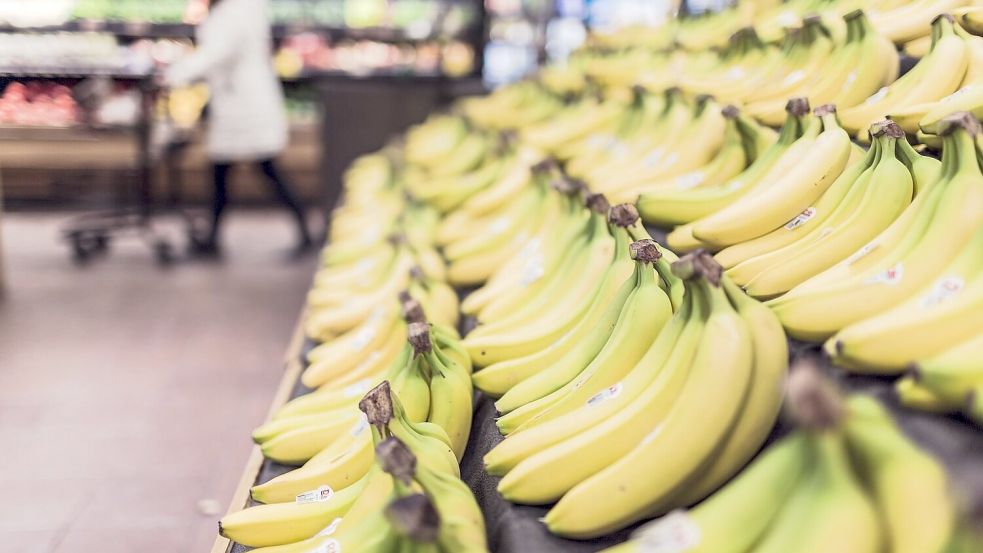 Bananen neigen wie viele andere Obst- und Gemüsesorten in der Wärme schnell zu Schimmelbildung. Foto: Pixabay