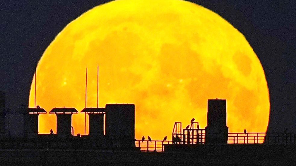 Ein Supermond geht über einem Wohnhaus auf. Foto: Pavel Bednyakov/AP/dpa