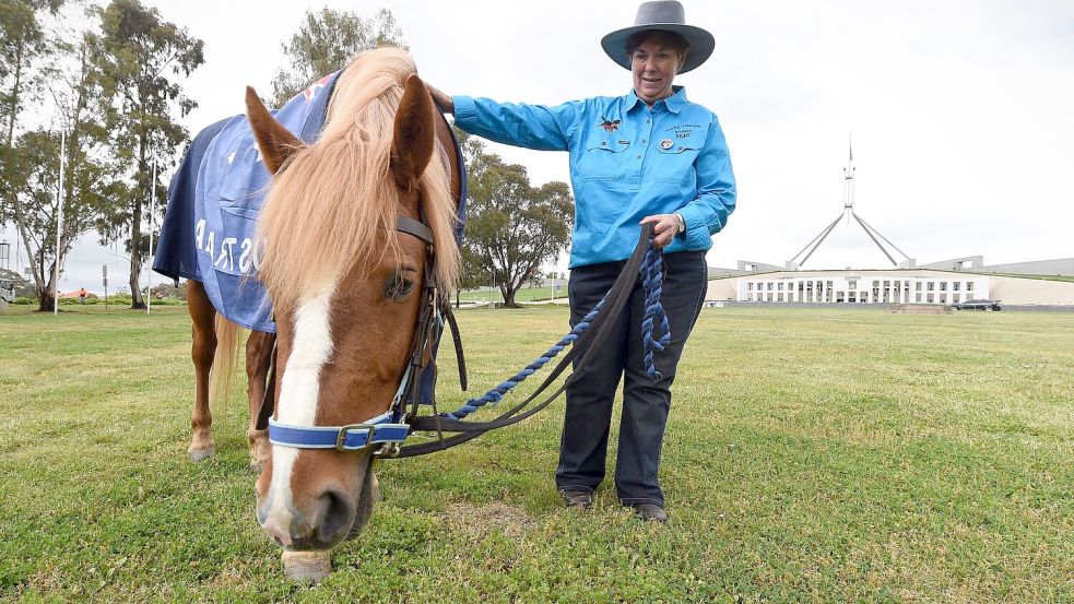 Die Zahl der „Brumbies“ soll drastisch reduziert werden. (Archivbild) Foto: picture alliance / dpa