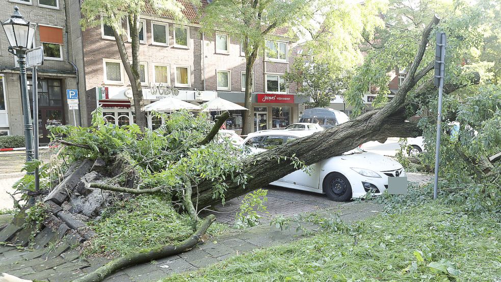 In der Großen Straße in Emden wurden mehrere Autos durch umstürzende Bäume beschädigt. Foto: J.Doden/Emden