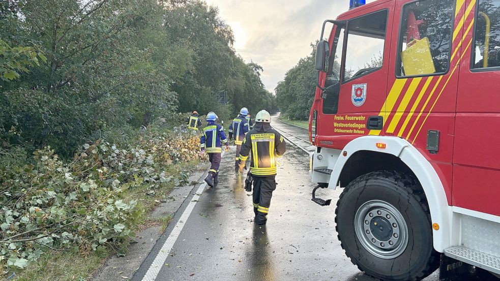 Die Feuerwehr Ihrhove war schnell vor Ort und entfernte den auf die Bundesstraße 70 gestürzten Baum. Foto: Ammermann